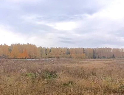 Участок (личное подсобное хозяйство), 10,2 сот.