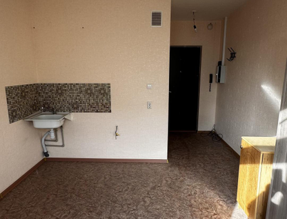 Студия, 17&nbsp;м²