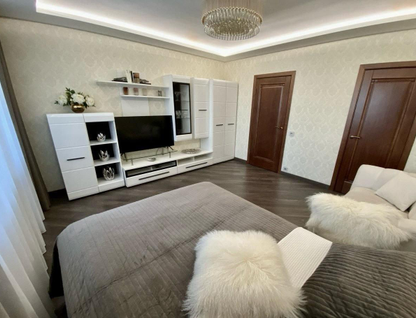 1-к. квартира, 46,9 м²