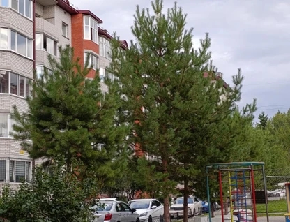 2-к. квартира, 41,7 м²