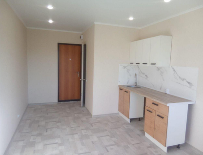 1-к. квартира, 17&nbsp;м²