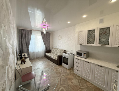 1-к. квартира, 49,2&nbsp;м²