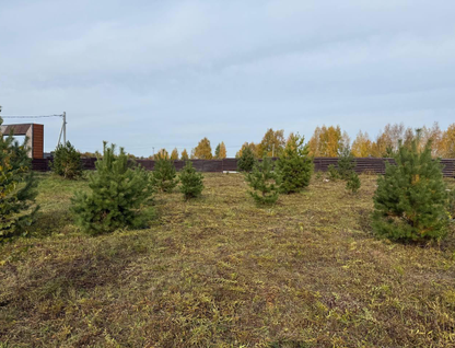 Участок (ижс), 10 сот.