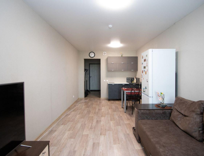 Студия, 24,8&nbsp;м²