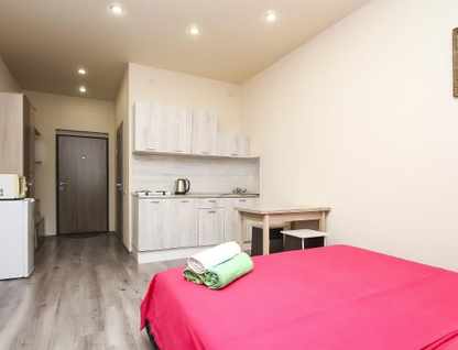 Студия, 23,5&nbsp;м²