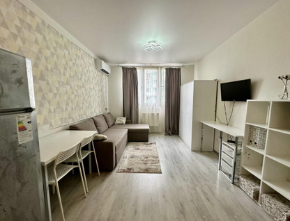 Студия, 22,2 м²