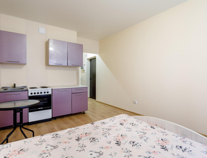 Студия, 25&nbsp;м²