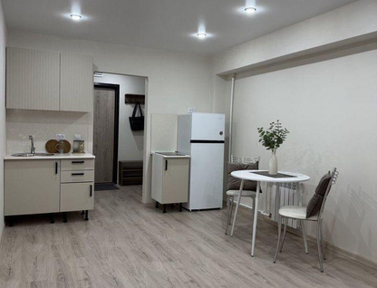 Студия, 23,9&nbsp;м²