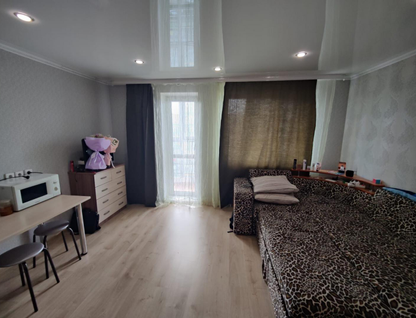 Студия, 24&nbsp;м²