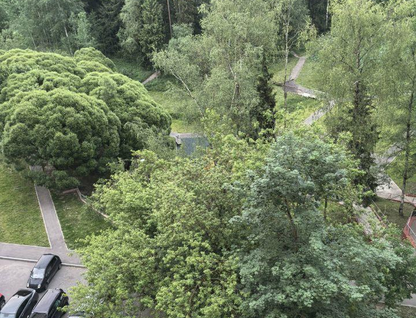 2-к. квартира, 52,3&nbsp;м²