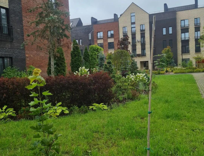 2-к. квартира, 56,7 м²