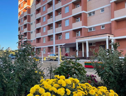 1-к. квартира, 37,1&nbsp;м²