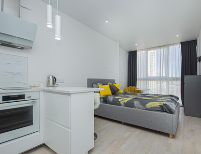 Студия, 22,9 м²