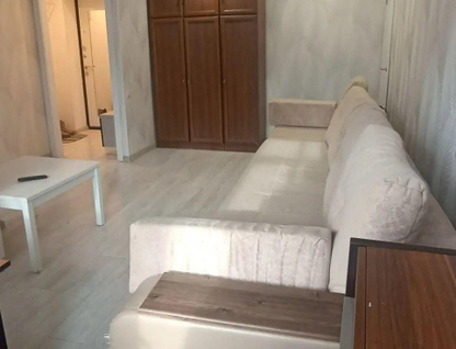 1-к. квартира, 29,2 м²