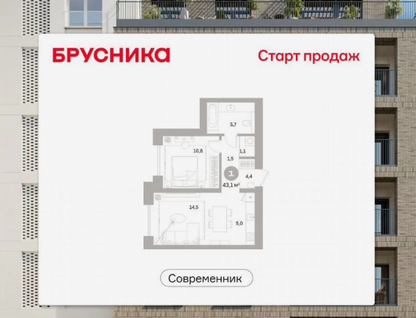 1-к. квартира, 43,1 м²