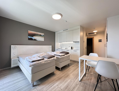Студия, 29,7&nbsp;м²