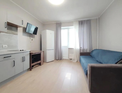 Студия, 22,9 м²