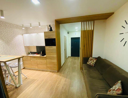 Студия, 29&nbsp;м²