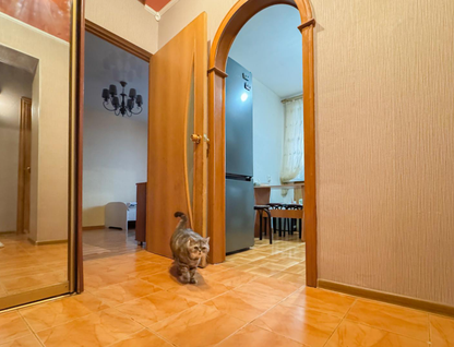 2-к. квартира, 50&nbsp;м²