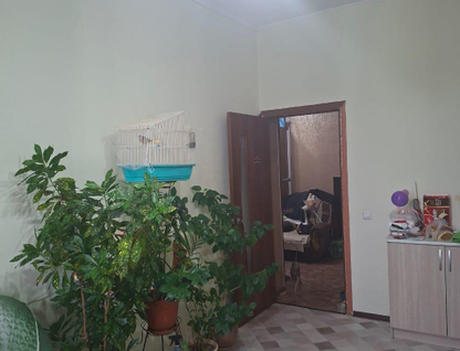 1-к. квартира, 43,6 м²