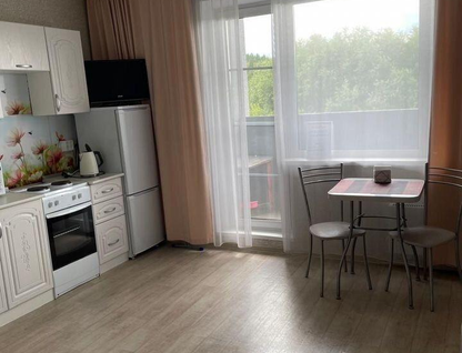 Студия, 24&nbsp;м²