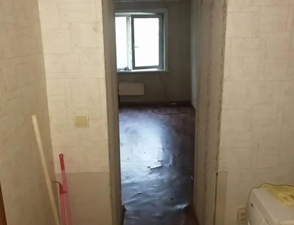 Студия, 19&nbsp;м²