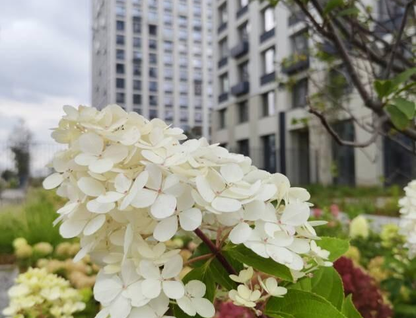 1-к. квартира, 44,7 м²