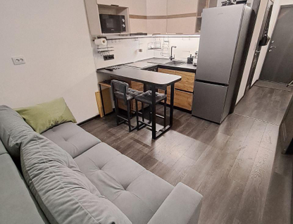 1-к. квартира, 30,3&nbsp;м²