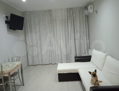 Студия, 40&nbsp;м²