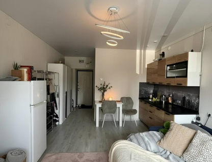 Студия, 24,6&nbsp;м²
