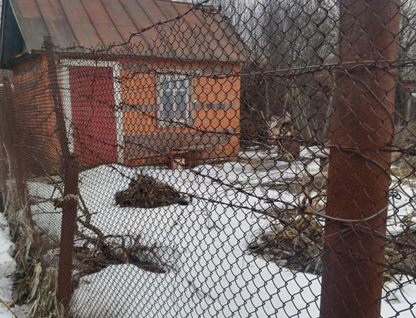 Одноэтажная дача, 10,8 м²