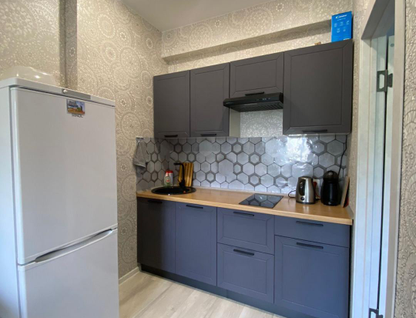 1-к. квартира, 43&nbsp;м²