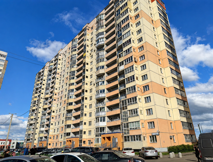 Студия, 23&nbsp;м²