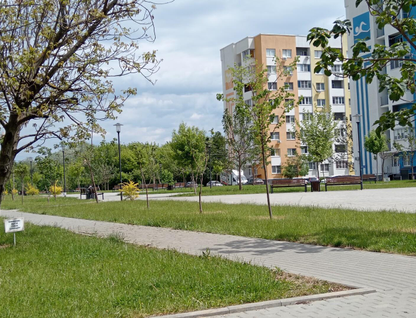 Студия, 31&nbsp;м²