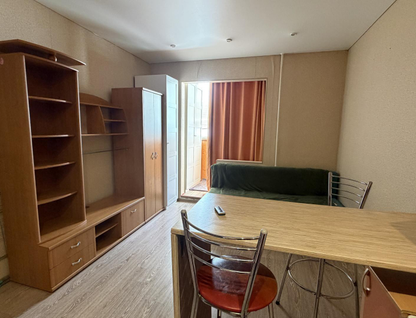 Студия, 24&nbsp;м²