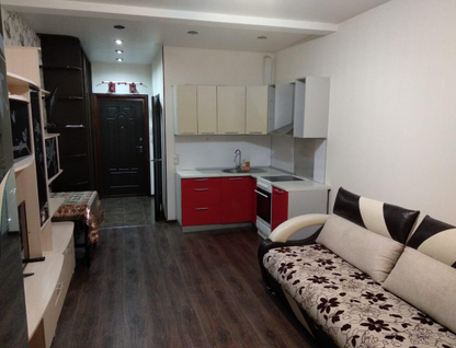 Студия, 24&nbsp;м²
