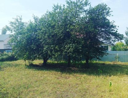 Участок (ижс), 12 сот.