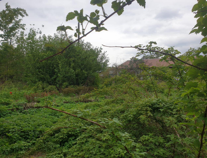 Участок (ижс), 11,7 сот.