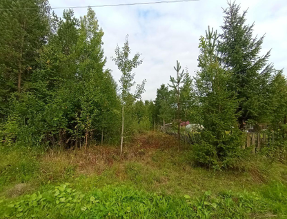 Участок (садоводство), 6 сот.
