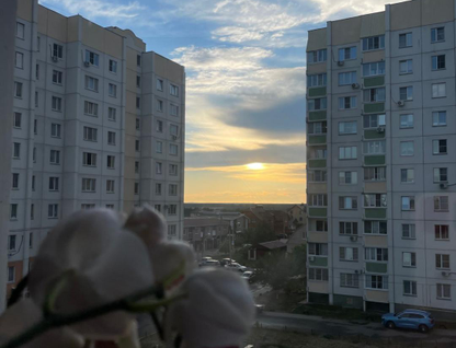 3-к. квартира, 68,5&nbsp;м²