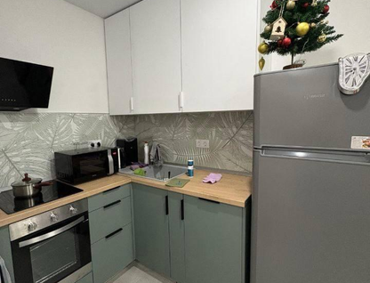 1-к. квартира, 33&nbsp;м²