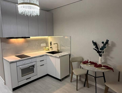 1-к. квартира, 24 м²