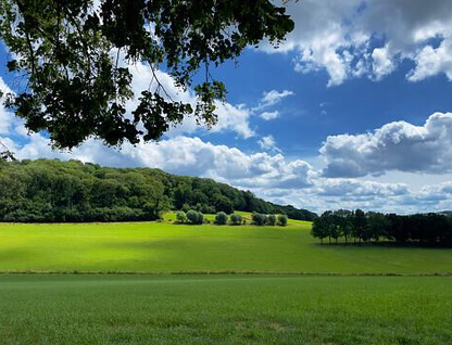 Участок (промназначения), 1,7 сот.