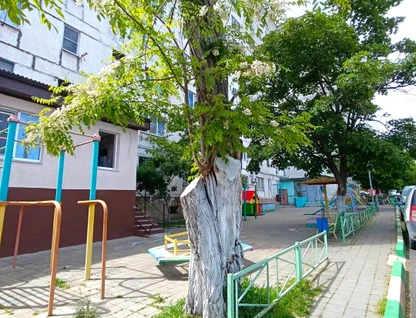 1-к. квартира, 21,3&nbsp;м²