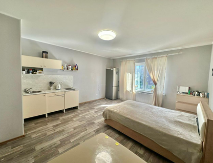 Студия, 32,5&nbsp;м²