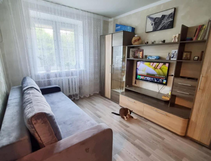 1-к. квартира, 24,9&nbsp;м²