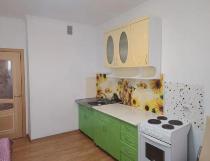 1-к. квартира, 49,3&nbsp;м²