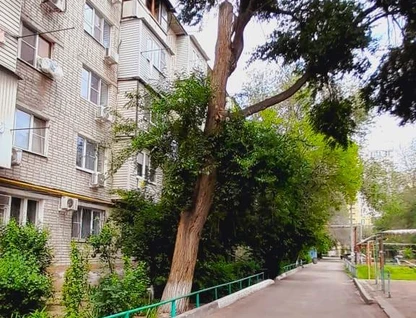 3-к. квартира, 59,9&nbsp;м²