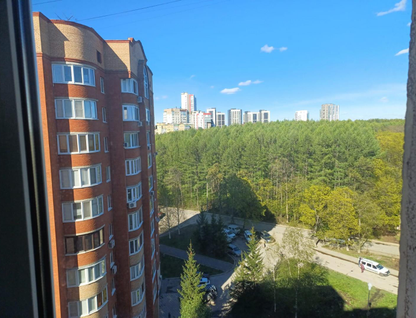 Студия, 13,7&nbsp;м²