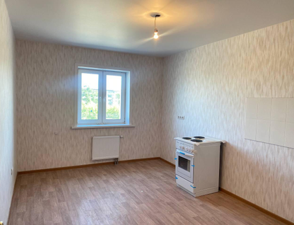 1-к. квартира, 43&nbsp;м²